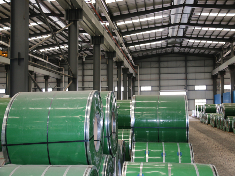 IMG_0910.jpg IMG_0910.jpg